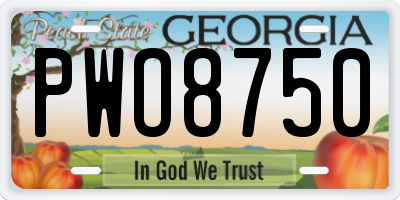 GA license plate PWO8750