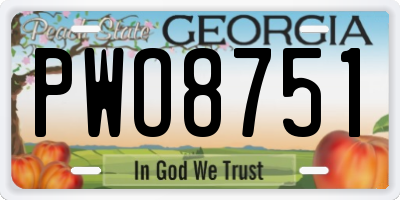 GA license plate PWO8751