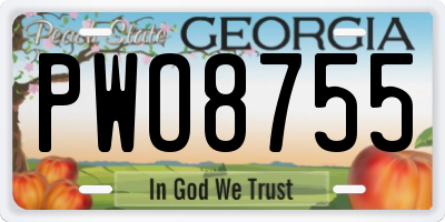 GA license plate PWO8755