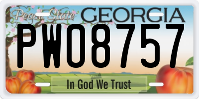 GA license plate PWO8757