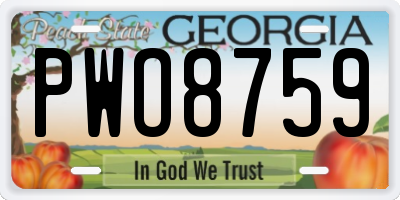 GA license plate PWO8759