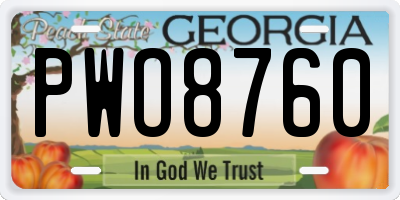 GA license plate PWO8760