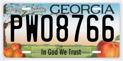 GA license plate PWO8766