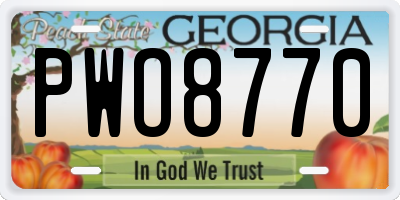 GA license plate PWO8770