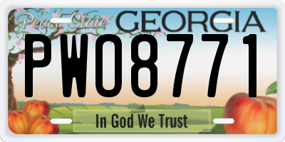 GA license plate PWO8771