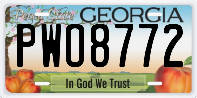 GA license plate PWO8772