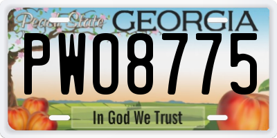 GA license plate PWO8775