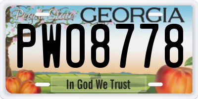 GA license plate PWO8778