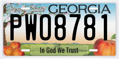 GA license plate PWO8781