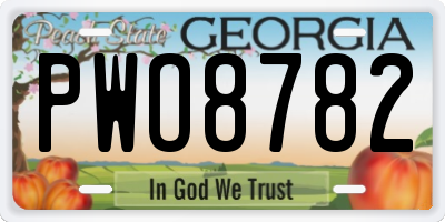 GA license plate PWO8782