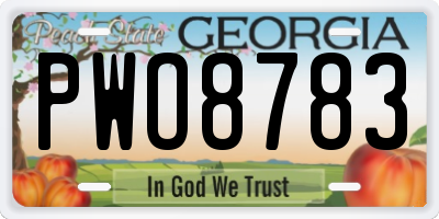 GA license plate PWO8783
