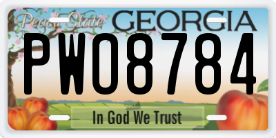 GA license plate PWO8784