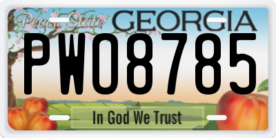 GA license plate PWO8785