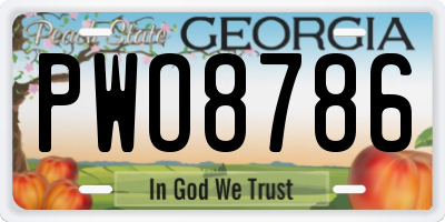 GA license plate PWO8786