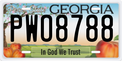 GA license plate PWO8788