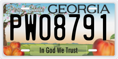 GA license plate PWO8791