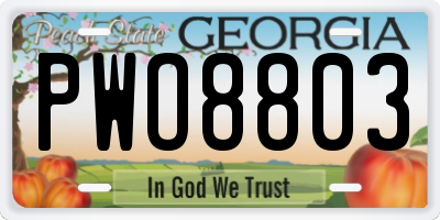 GA license plate PWO8803