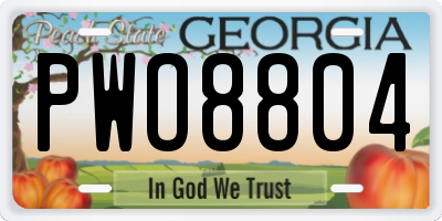 GA license plate PWO8804