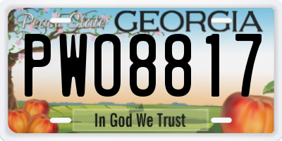 GA license plate PWO8817