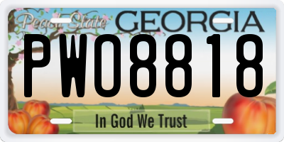 GA license plate PWO8818