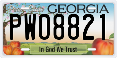 GA license plate PWO8821
