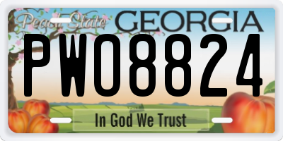 GA license plate PWO8824