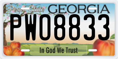 GA license plate PWO8833