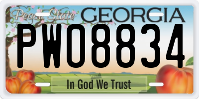 GA license plate PWO8834