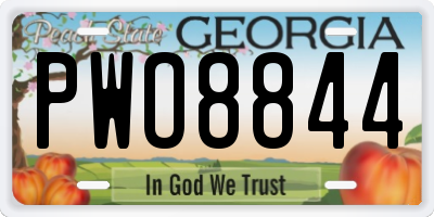 GA license plate PWO8844