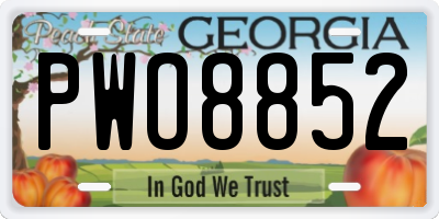 GA license plate PWO8852