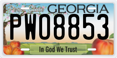 GA license plate PWO8853