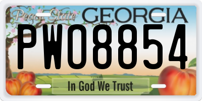 GA license plate PWO8854