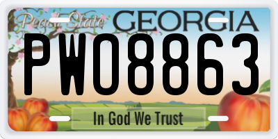 GA license plate PWO8863