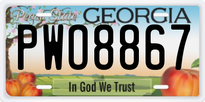 GA license plate PWO8867