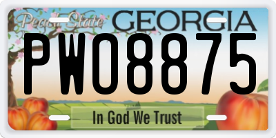 GA license plate PWO8875