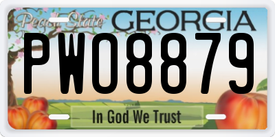 GA license plate PWO8879