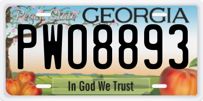 GA license plate PWO8893