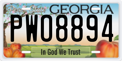 GA license plate PWO8894