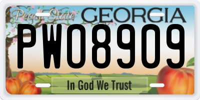 GA license plate PWO8909