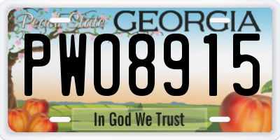 GA license plate PWO8915