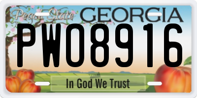 GA license plate PWO8916