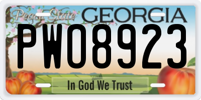 GA license plate PWO8923