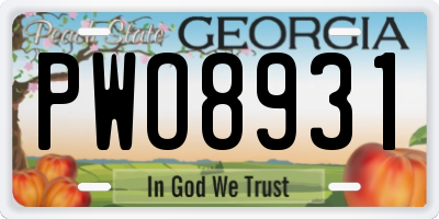 GA license plate PWO8931