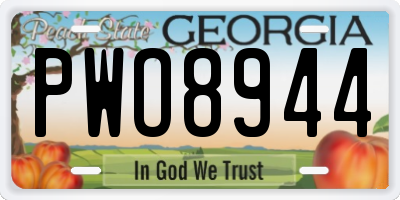 GA license plate PWO8944