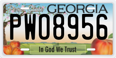 GA license plate PWO8956