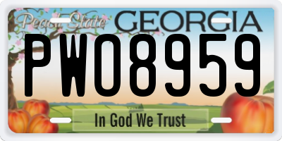 GA license plate PWO8959
