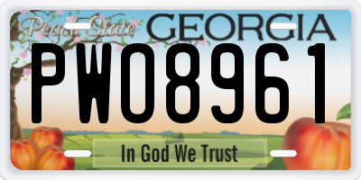 GA license plate PWO8961