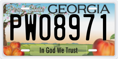 GA license plate PWO8971