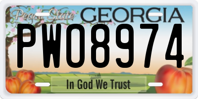 GA license plate PWO8974