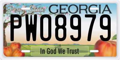 GA license plate PWO8979